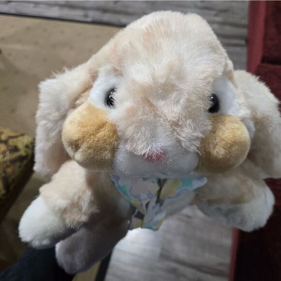 Dandee International - Picture 6 of 9